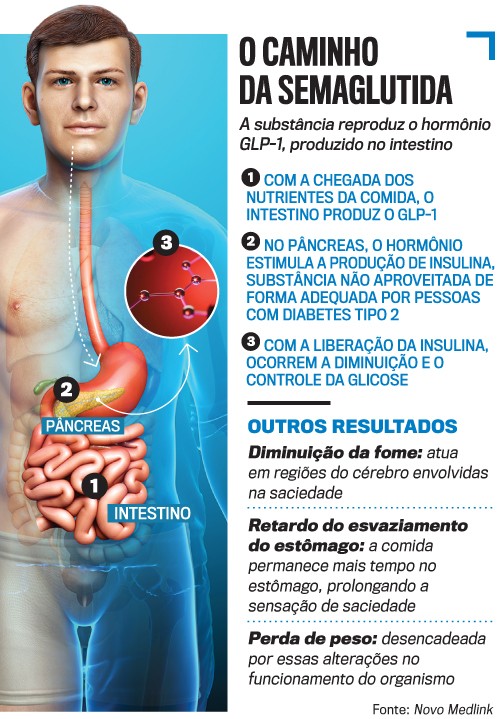 Infogr&aacute;fico O Caminho da Semaglutida com ilustra&ccedil;&atilde;o de um homem e seu sistema digest&oacute;rio. O texto explica como a semaglutida reproduz o horm&ocirc;nio GLP-1, produzido no intestino, estimulando a produ&ccedil;&atilde;o de insulina no p&acirc;ncreas e controlando a glicose. Outros resultados incluem diminui&ccedil;&atilde;o da fome, retardo do esvaziamento do est&ocirc;mago e perda de peso