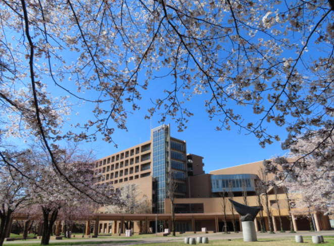 Quer estudar no Japão? Feira reúne 8 universidades e tira dúvidas no Rio