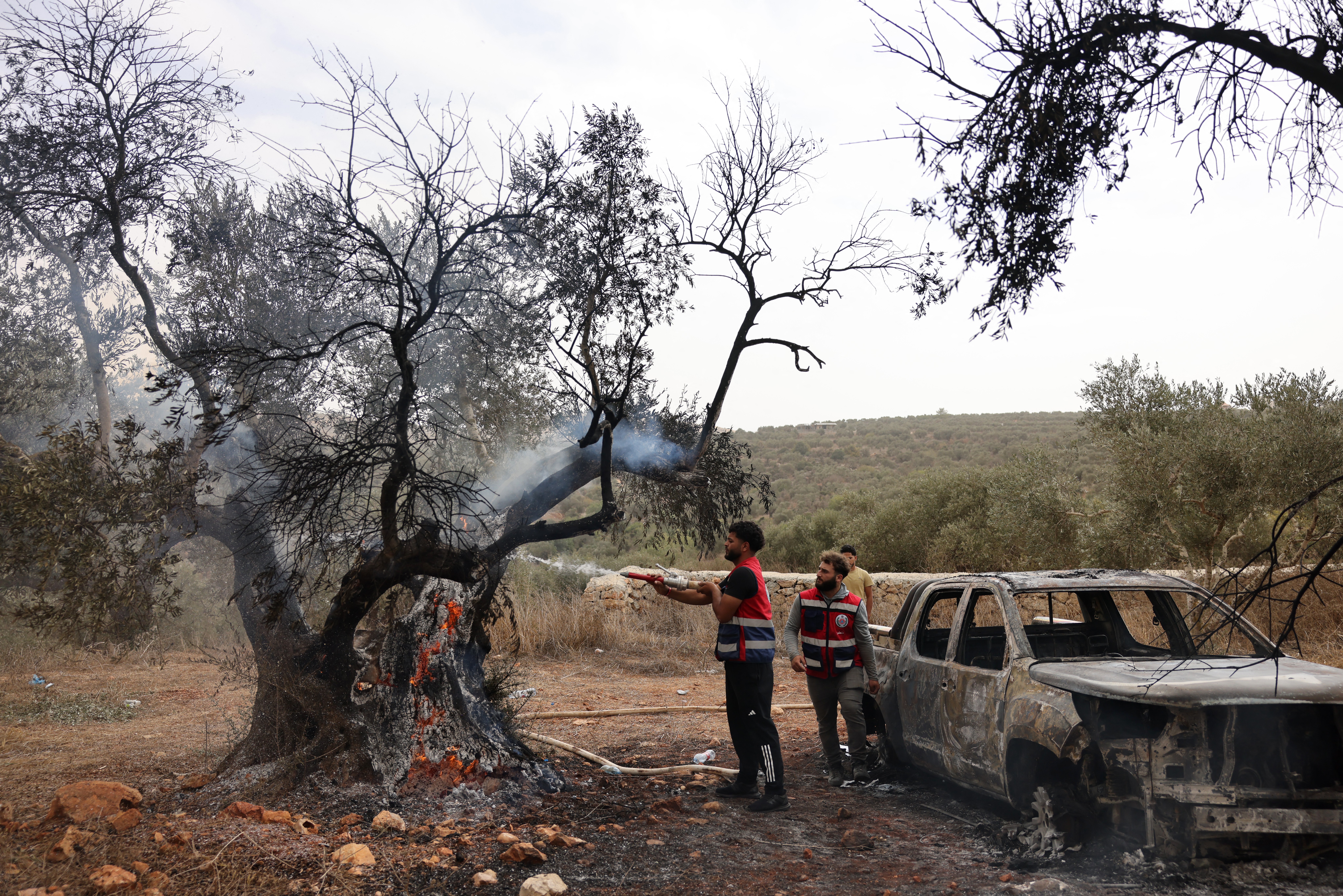 Colonos judeus atacam palestinos, incendeiam olival e ferem repórter americana na Cisjordânia