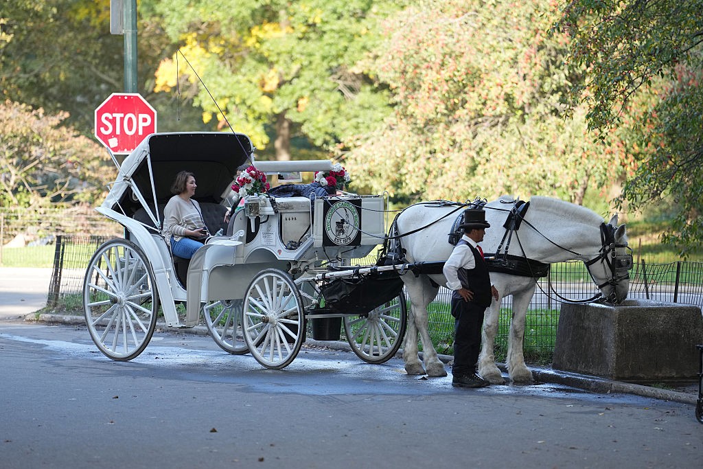 Nova York avança para banir carruagens puxadas por cavalos após mais de 150 anos