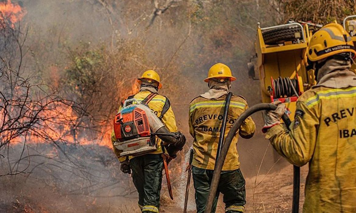 Governo reconhece estado de emergência em 36 cidades do Amazonas por avanço de incêndios